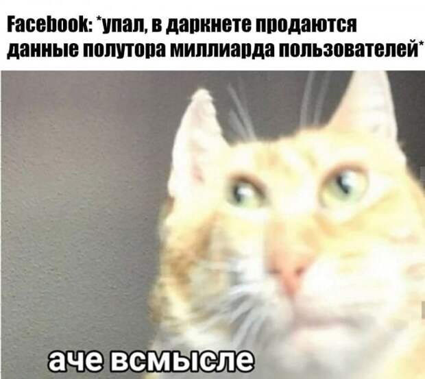 Глобальный сбой Facebook, Instagram и WhatsApp: шутки и мемы