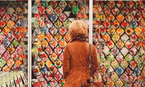 Эксперт назвал 5 цветов, которые можно посеять сразу в грунт — без рассады