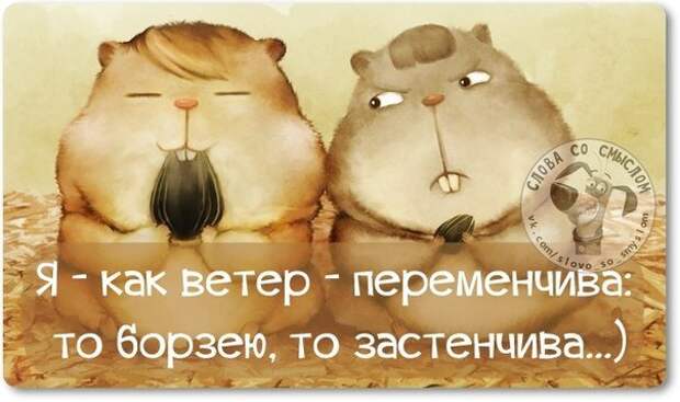 Интересные, стёбные и позитивные фразочки со смыслом (29 фото) Интересные, стёбные и позитивные фразочки со смыслом (29 фото)