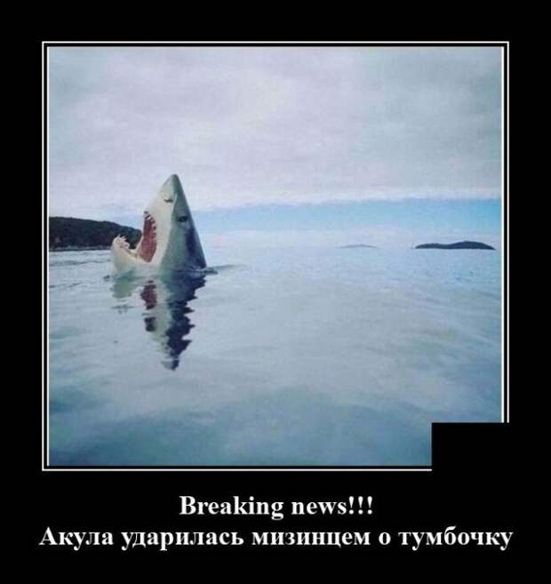 demotivatory-demotivator-smeshnye-demotivatory-demotivator-so-smyslom
