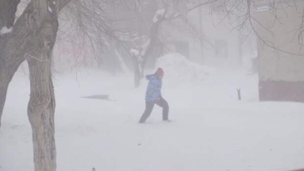 Синоптик рассказала, когда в Алтайском крае стихнет штормовой ветер и перестанет идти снег