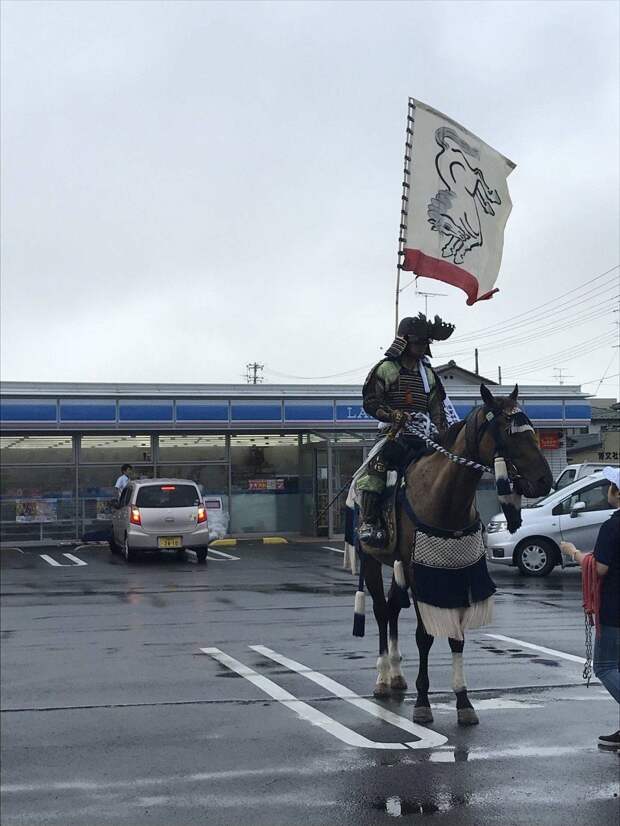 Подборка прикольных картинок