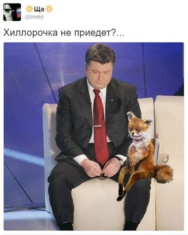wmdOrrIBh0g.jpg