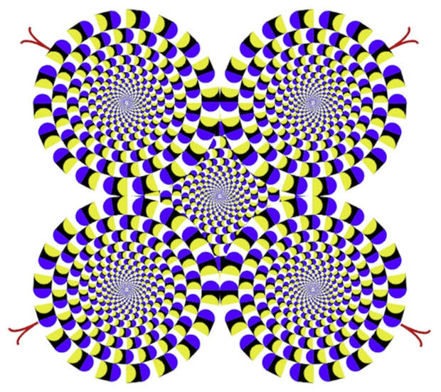 Во власти иллюзий: 5 способов, которыми мозг обманывает зрение