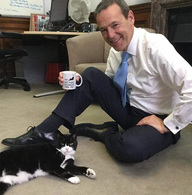 Палмерстон и Саймон Макдональд