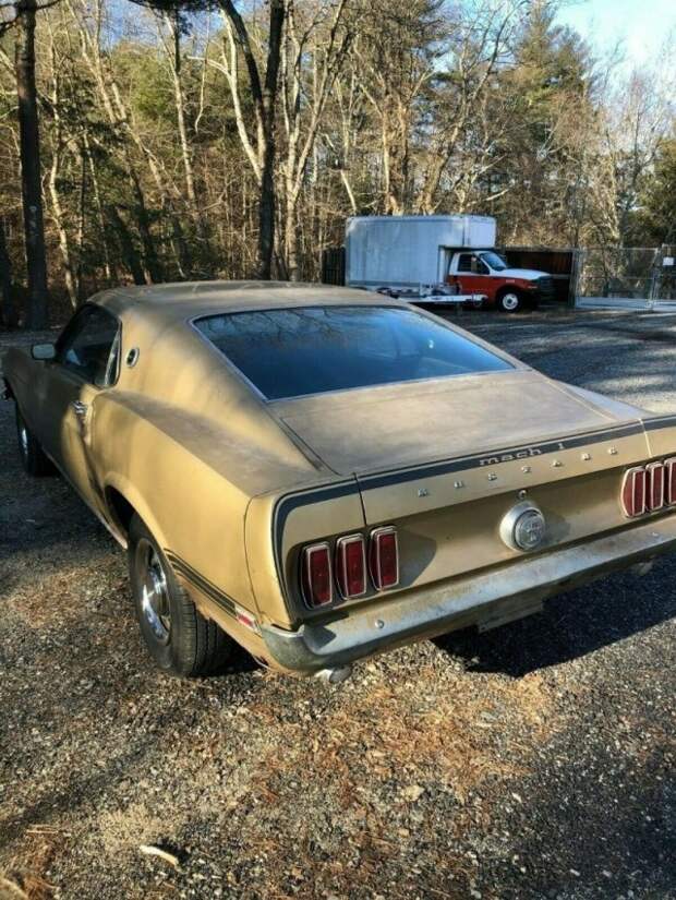 Ford Mustang 1969 года, который простоял 40 лет без движения