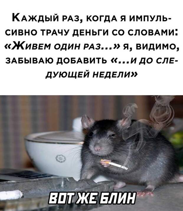 Смешные картинки 13 августа 2021 года