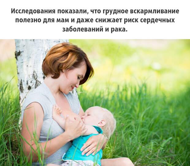 25 малоизвестных фактов о груди, которые должен знать каждый грудь, факты