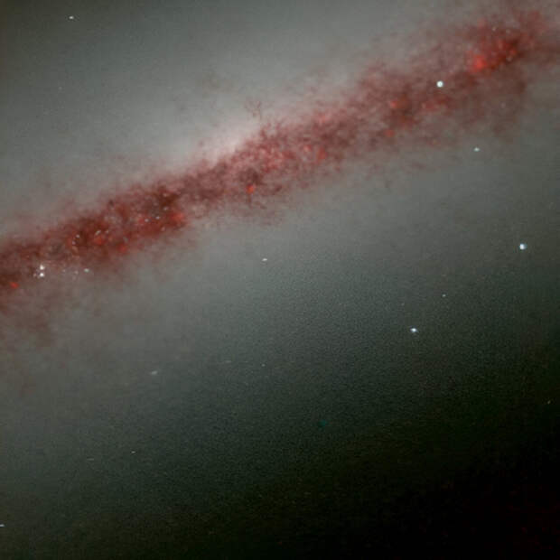 Телескоп «Джеймс Уэбб» обнаружил выбросы пыли на расстоянии 13 000 световых лет от диска галактики NGC 891