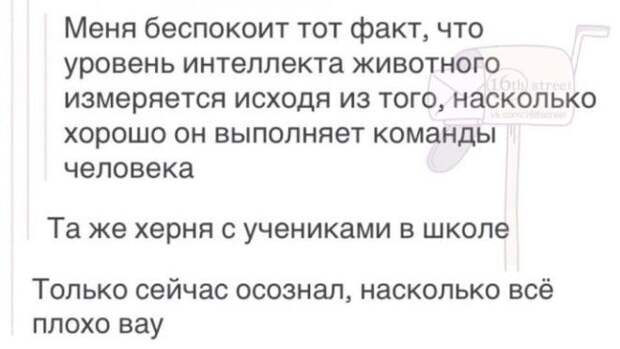 S12 забавных лафйхаков которые вряд ли вам когданибудь пригодятся