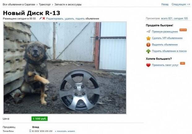 Странные объявления (25 фото)