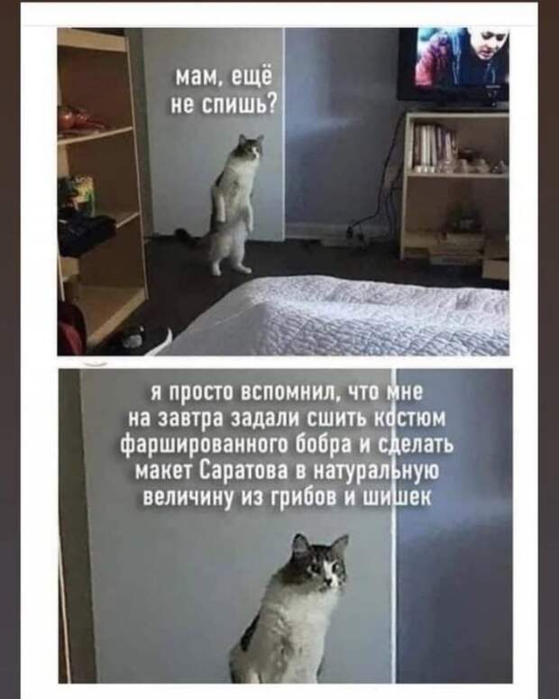 Лучшие шутки и мемы из Сети