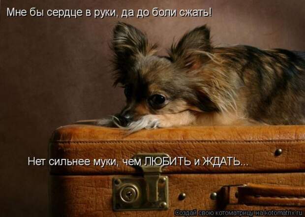 Давайте улыбаться вместе! :) (21повод)