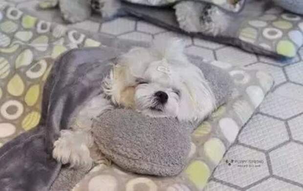 Тихий час в