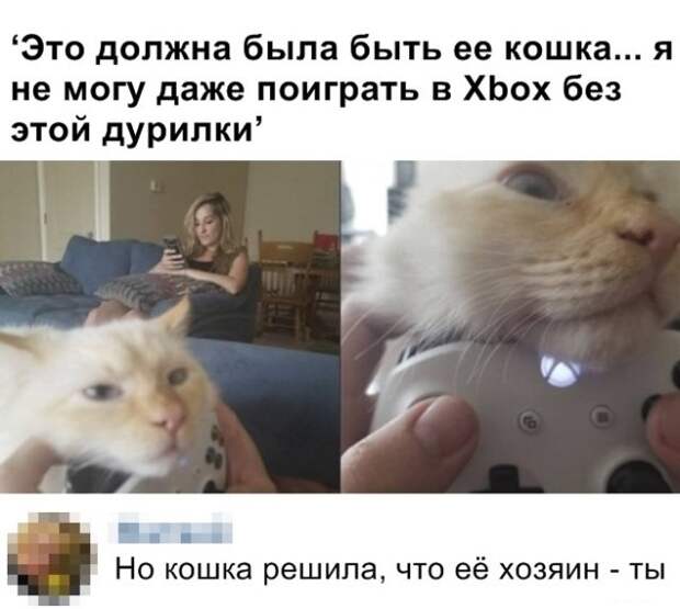 Перлы из социальных сетей на самые актуальные темы Перлы из социальных сетей на самые актуальные темы