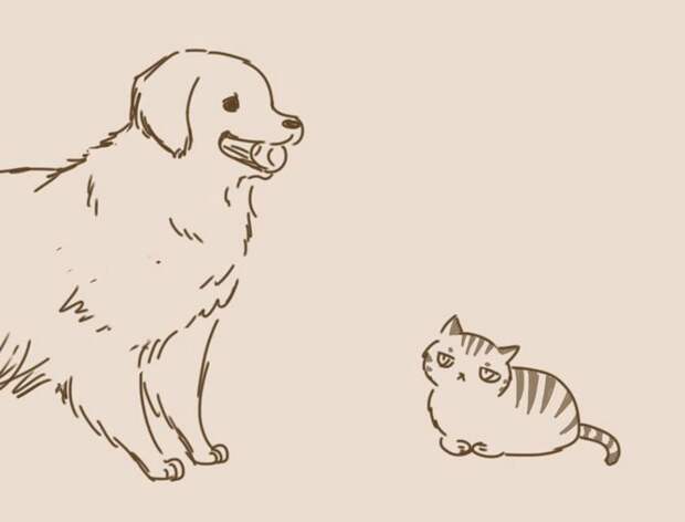 animal-friends-cat-dog-comics-lynal-11