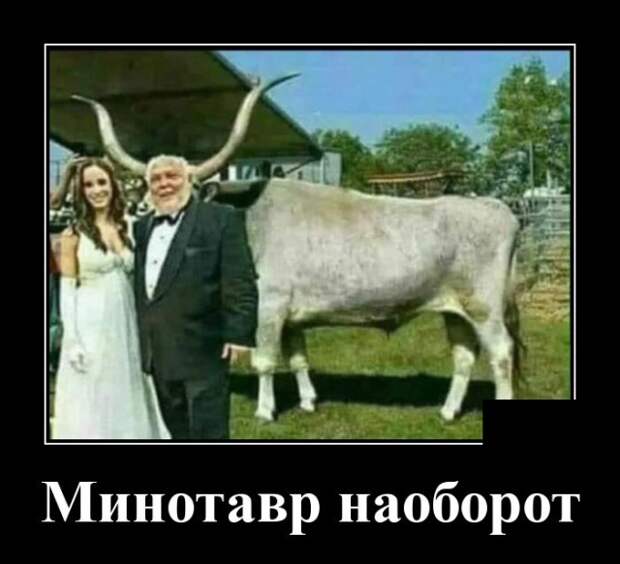 www.vsyako.net