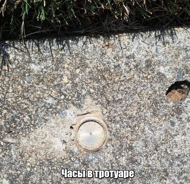 Мир никогда не прекратит удивлять нас Мир никогда не прекратит удивлять нас
