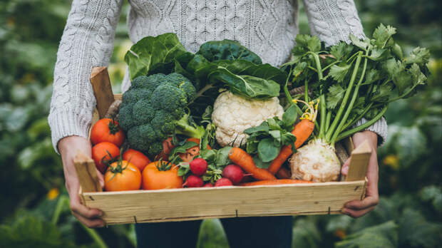 Почему овощи вырастают безвкусными