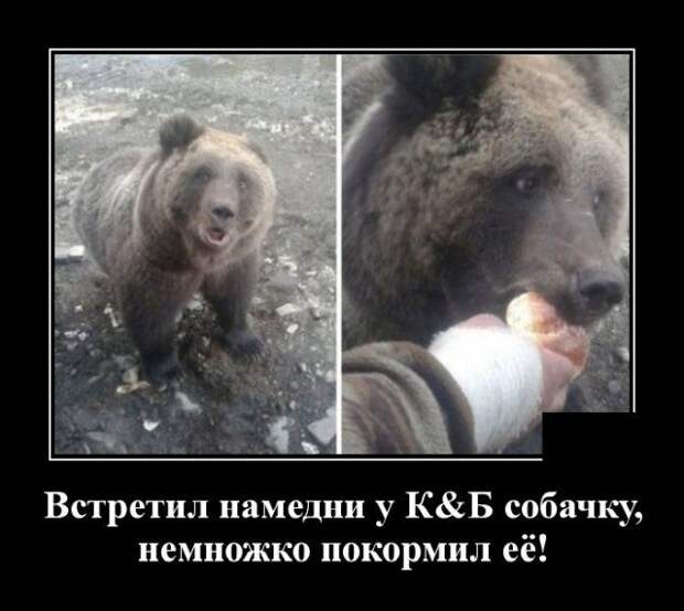 demotivatory-demotivator-smeshnye-demotivatory-demotivator-so-smyslom
