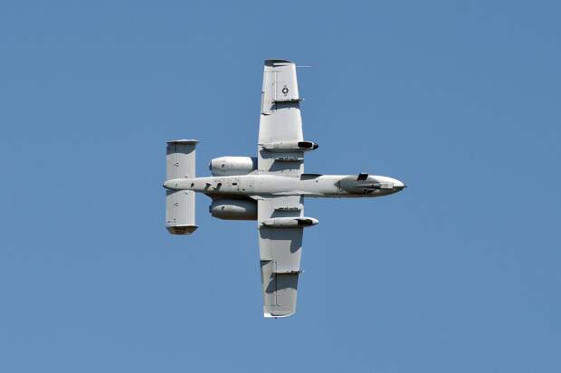 Фото: pexels.com