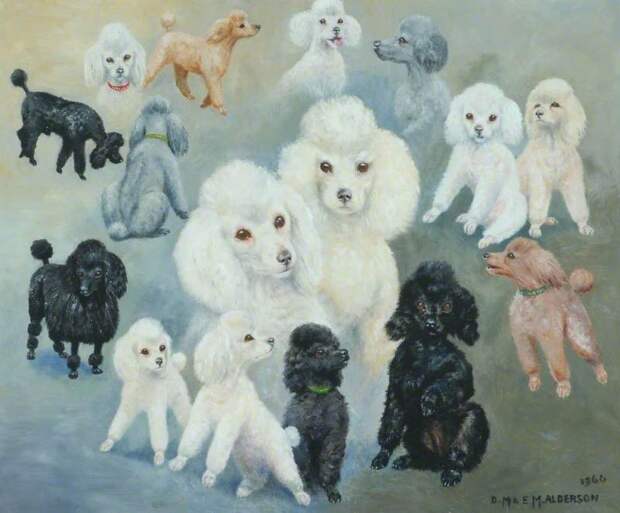 Poodlemania Poodlemania