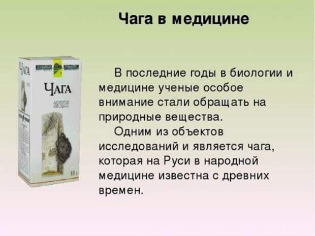 Чага - ценный дар природы для здоровья.
