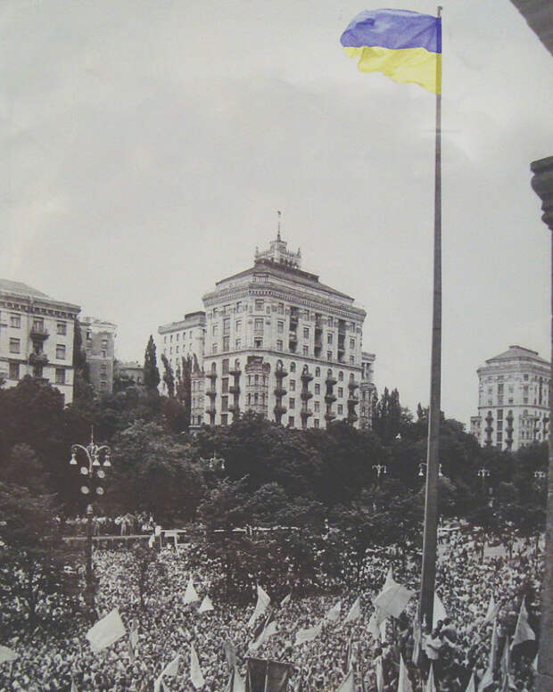 Появление бандеровской гадюки