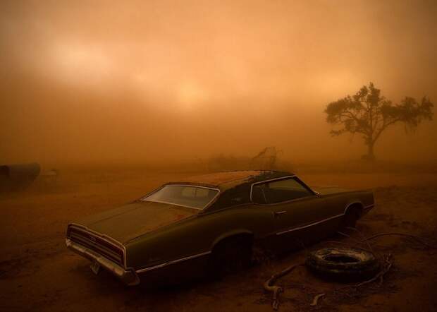 2-е место в номинации «Места» присуждено фотографу Николасу Моиру (Nicholas Moir) за снимок ржавого автомобиля Ford Thunderbird, покрытого слоем пыли после бури.