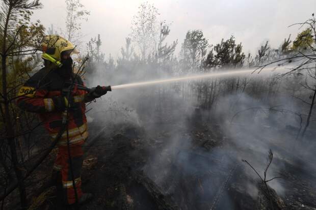 Три лесных пожара в один день ликвидировали в Балашихе