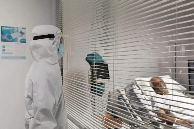 Врач Крючков раскрыл симптомы распространившейся в России мышиной лихорадки