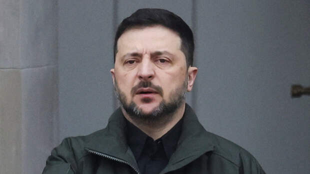 «Победитель диктует условия»: в Германии усомнились в мирном плане Зеленского
