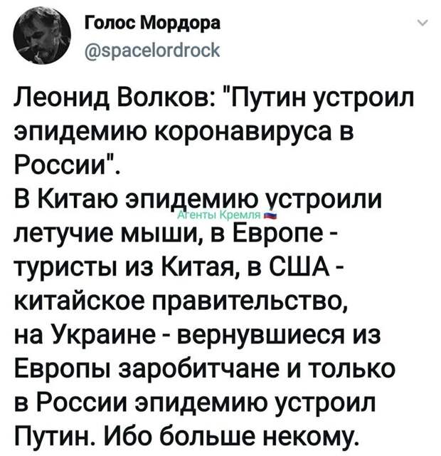 Политические комментарии из инета