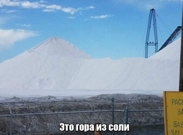 Мир никогда не прекратит удивлять нас Мир никогда не прекратит удивлять нас