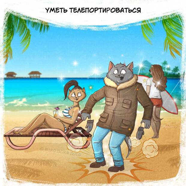 Мечты, которым никогда не суждено сбыться, и коты