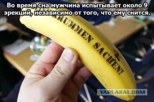 http://s00.yaplakal.com/pics/pics_original/3/7/5/182573.jpg