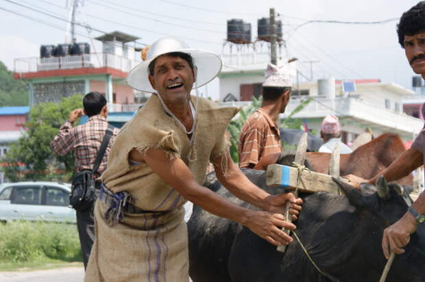 8 месяцев по Индии и Непалу и зачем люди увольняются с работы  азия, гоа, дели, индия, приключения, путешесвие