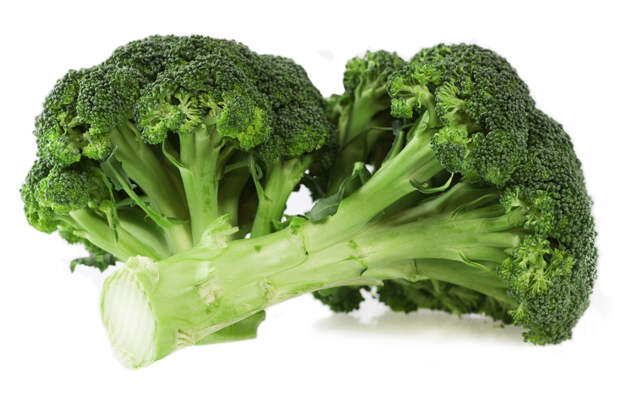 Fresh broccoli on white background with light shadow