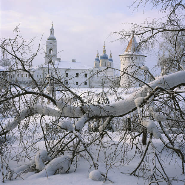 под снегом
