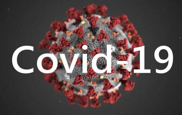 Вторая смерть от COVID-19 зафиксирована в ДНР