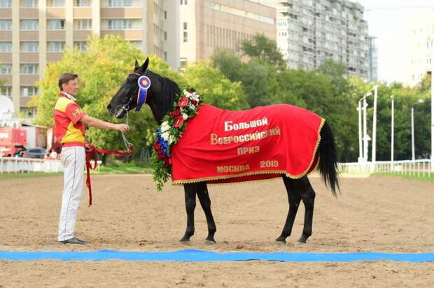 Победитель Флодар. Фото cmh.ru