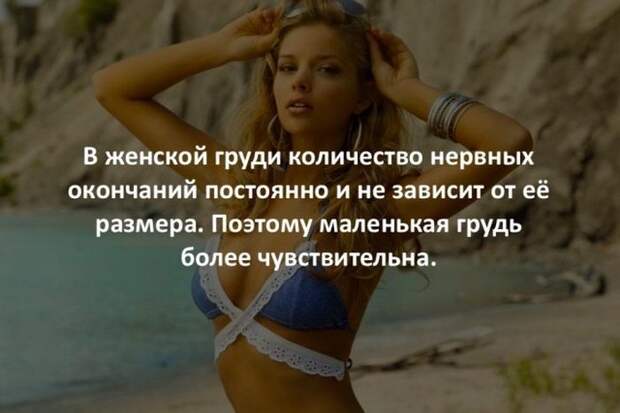 Интересные факты для любознательных