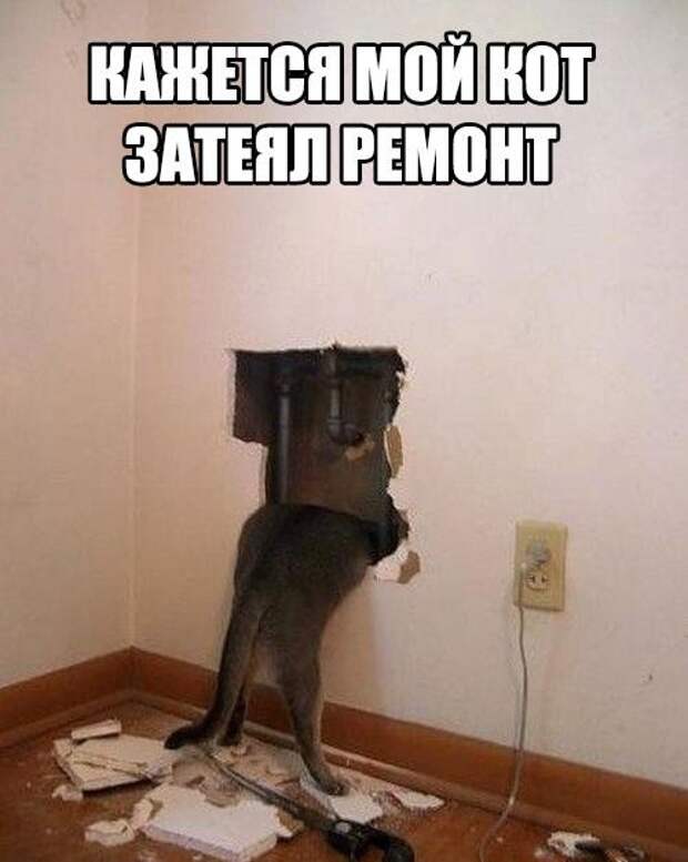 Смешные картинки с надписями прикол, юмор