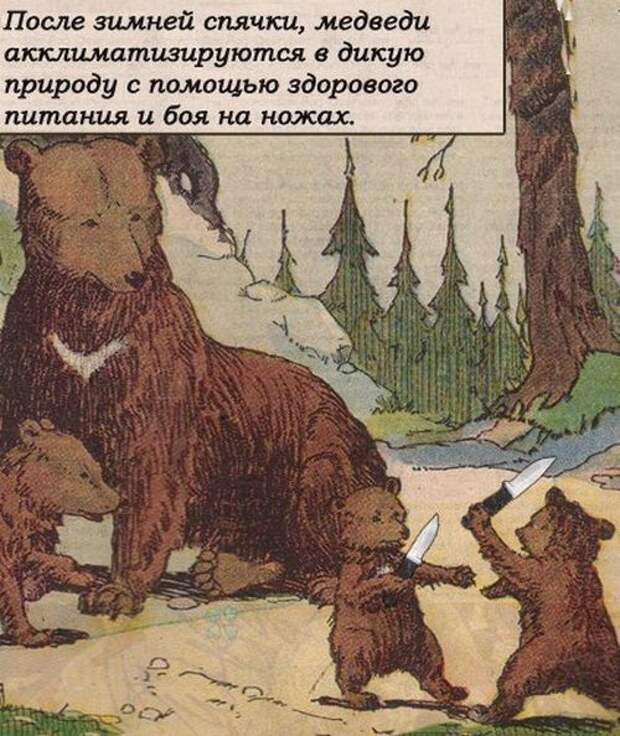 Колкий юмор (34 фото)
