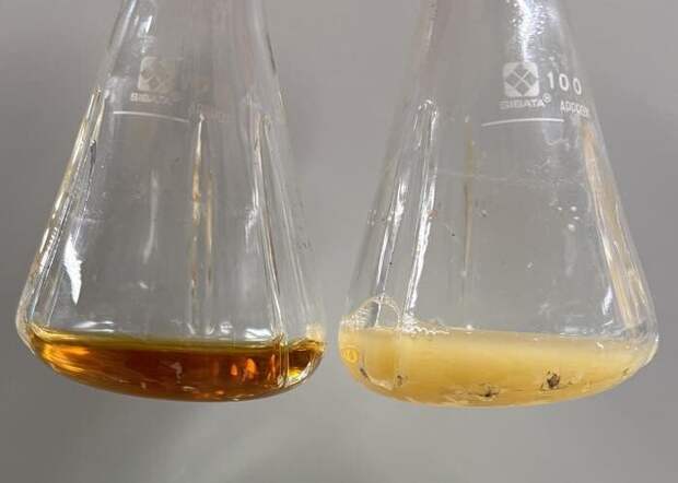 Кишечные бактерии могут вырабатывать противораковые соединения