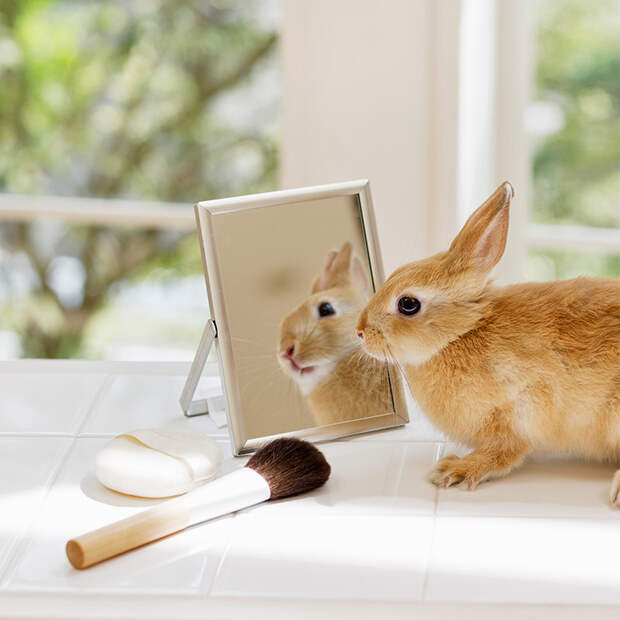 Фото: GETTY IMAGES