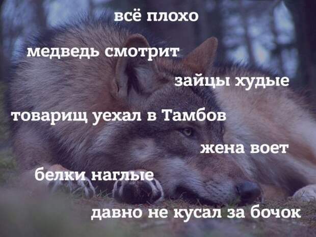 Подборка веселых фото из сетей