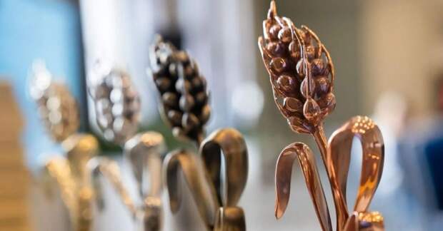 Конкурс «Золотой колос 2026» объявил прием заявок