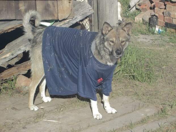 приколы