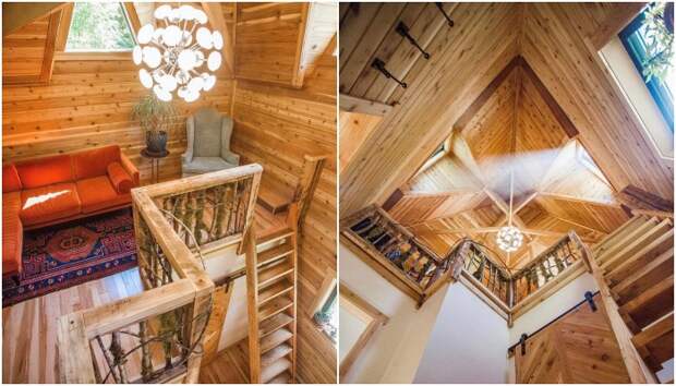 Высокие потолки и обилие фирменных окон сделали «Замковую хижину» просторной и светлой (США). Высокие потолки и обилие фирменных окон сделали «Замковую хижину» просторной и светлой (США).